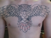 owl-tattoo-on-chest