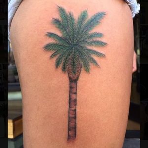 palm